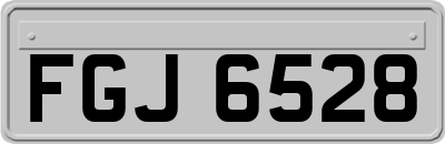 FGJ6528