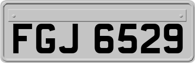 FGJ6529