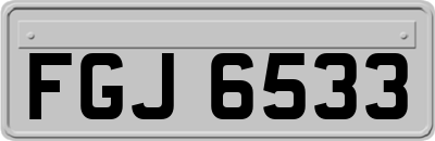 FGJ6533