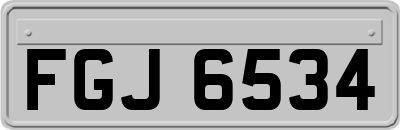 FGJ6534