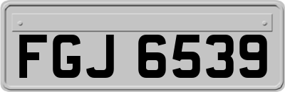 FGJ6539