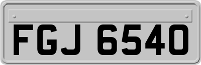 FGJ6540
