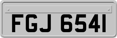 FGJ6541