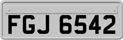 FGJ6542