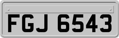 FGJ6543