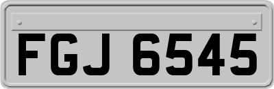 FGJ6545