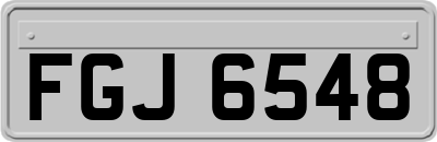 FGJ6548