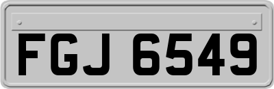 FGJ6549