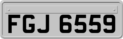FGJ6559