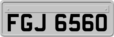 FGJ6560