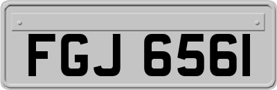 FGJ6561