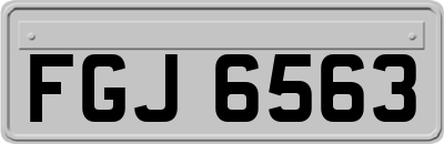 FGJ6563