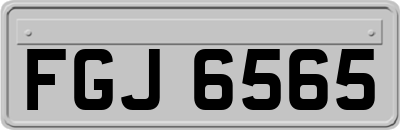 FGJ6565