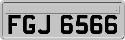 FGJ6566
