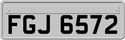 FGJ6572