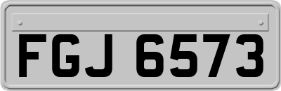 FGJ6573