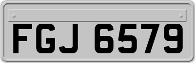 FGJ6579