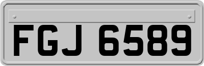 FGJ6589