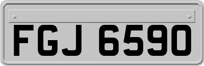 FGJ6590