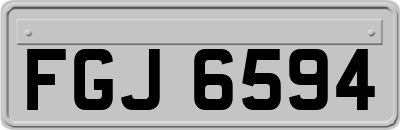 FGJ6594