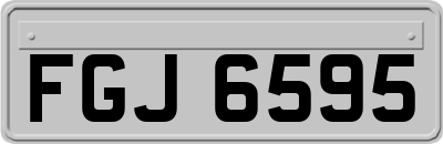 FGJ6595