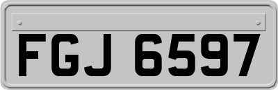 FGJ6597