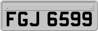 FGJ6599
