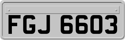 FGJ6603