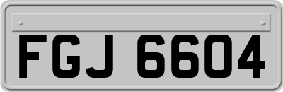FGJ6604