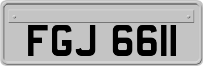 FGJ6611