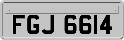FGJ6614
