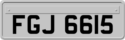 FGJ6615