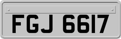 FGJ6617