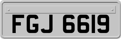 FGJ6619