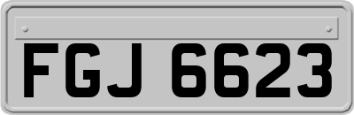 FGJ6623