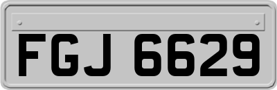FGJ6629