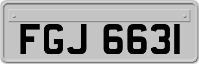 FGJ6631