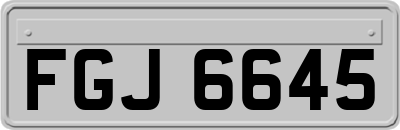FGJ6645