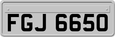 FGJ6650