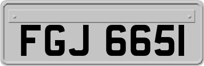 FGJ6651
