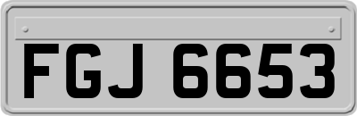 FGJ6653
