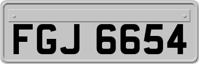 FGJ6654