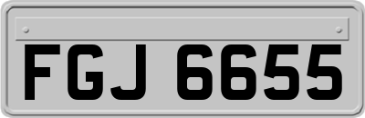 FGJ6655
