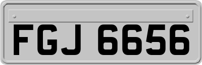 FGJ6656