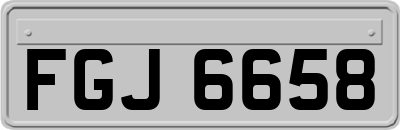FGJ6658