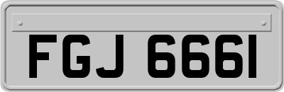 FGJ6661