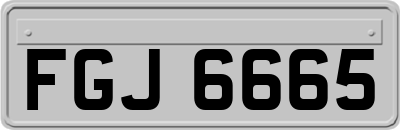 FGJ6665