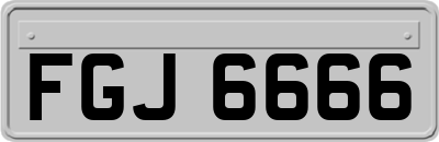 FGJ6666