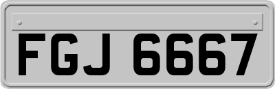 FGJ6667