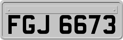 FGJ6673